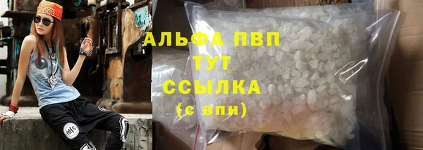 твердый Бородино