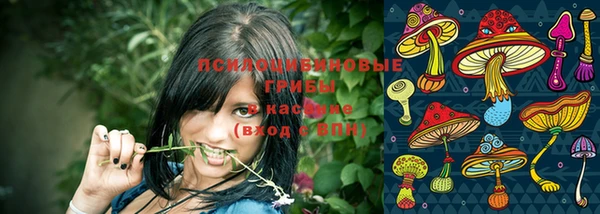 ГАЛЛЮЦИНОГЕННЫЕ ГРИБЫ Бугульма