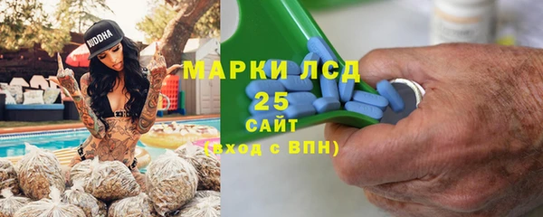 твердый Бородино