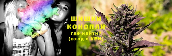 твердый Бородино