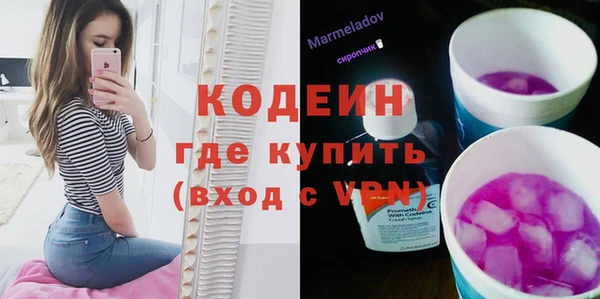 твердый Бородино