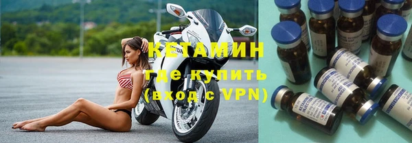 твердый Бородино